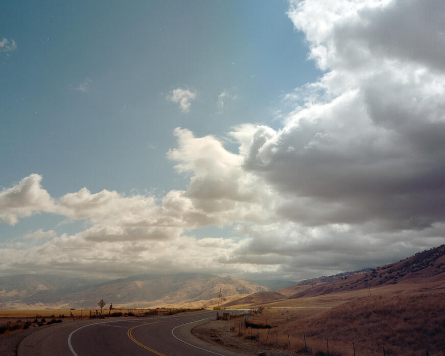 bellows // Grapevine 2021 // 16&quot; x 20&quot; // $400